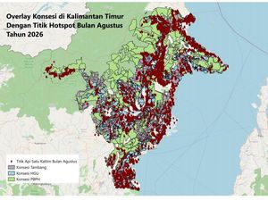 Walhi Kaltim Catat 13.475 Titik Hotspot di Wilayah Korporasi