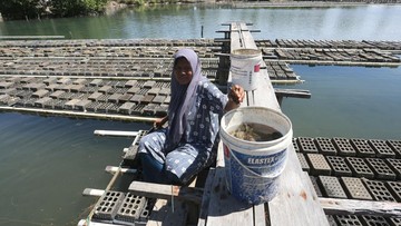 Berita dari Detik Finance: Panen Kepiting Soka Aceh, Produksi Capai 2 Ton/ Bulan