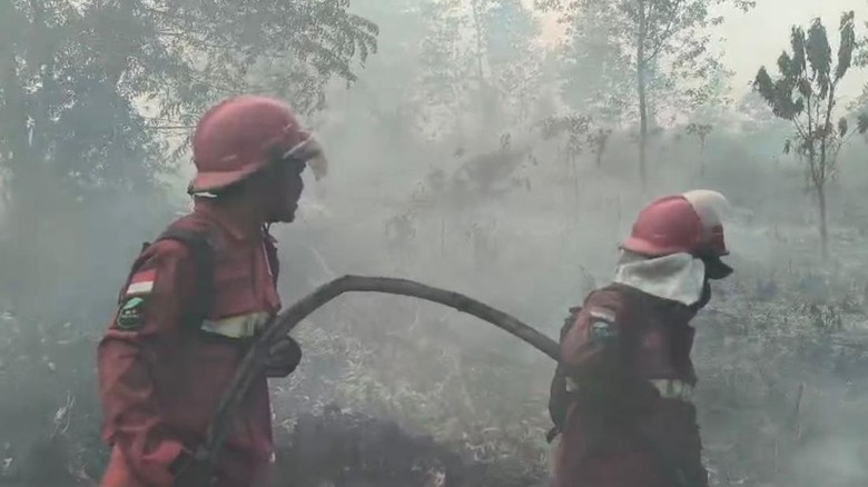 Relawan Karhutla Sakit hingga Gugur, Pakar Soroti 5 Langkah Lindungi Pemadam