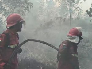 Relawan Karhutla Sakit hingga Gugur, Pakar Soroti 5 Langkah Lindungi Pemadam