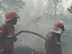 Hutan Lindung Gambut Londerang Jambi Terbakar, Petugas Lakukan Pemadaman
