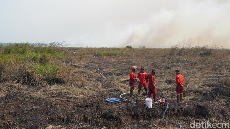 Lahan Gambut 13,2 Hektare di TNBS Kembali Terbakar, Personel Turun Padamkan