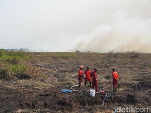 Lahan Gambut 13,2 Hektare di TNBS Kembali Terbakar, Personel Turun Padamkan