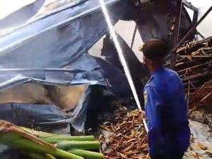 2 Gudang Kapuk di Karaban Pati Ludes Terbakar