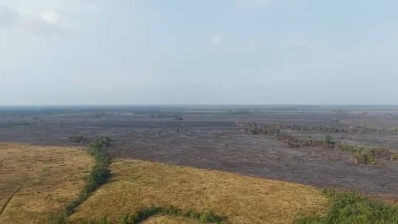 3 Titik Baru Kebakaran Way Kambas Padam, Lahan Terbakar 912,49 Hektare