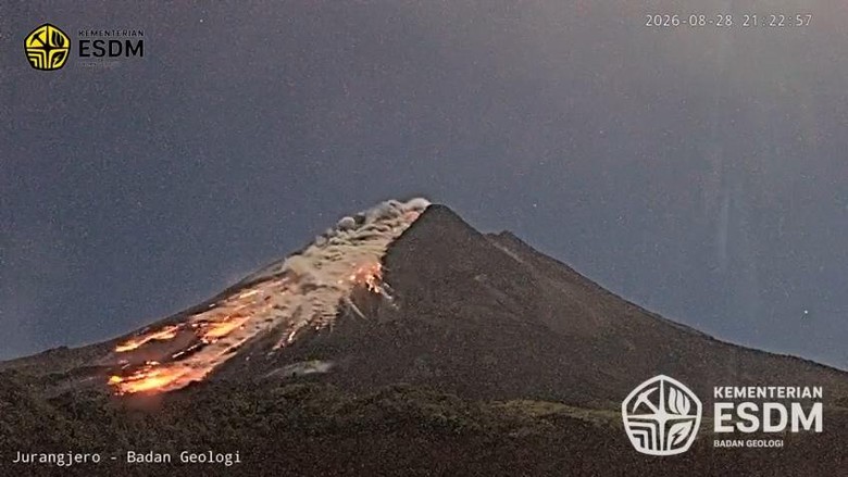 Hutan di Lereng Merapi Terbakar, Diduga Akibat Erupsi