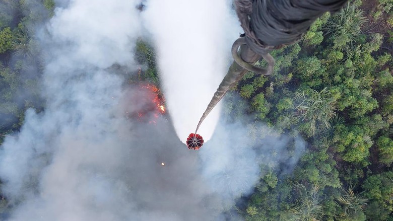 Video Dua Petani Jambi Diamankan, Diduga Bakar Hutan Konservasi