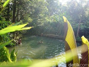 Video: Kali Odo Semarang, Wisata Air yang Buka Cuma Pas Kemarau Aja