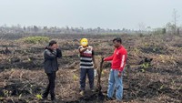 Karhutla di Pematang Pudu Bengkalis, 1 Pria Duduki Lahan-Tanam Sawit Jadi Tersangka