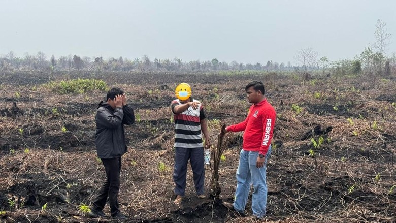 Karhutla di Pematang Pudu Bengkalis, 1 Pria Duduki Lahan-Tanam Sawit Jadi Tersangka