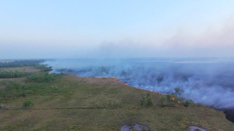 150 Hektare Lahan Warga dan TNI AU di Malimpung Pinrang Terbakar