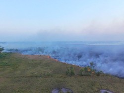 150 Hektare Lahan Warga dan TNI AU di Malimpung Pinrang Terbakar