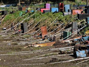 Kemarau Mengeringkan Telaga Merdada, Petani Dieng Hadapi Krisis Pengairan