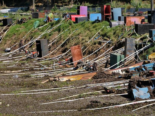 Kemarau Mengeringkan Telaga Merdada, Petani Dieng Hadapi Krisis Pengairan