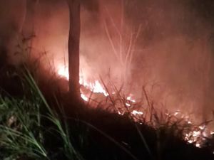 Bukit Senggigi Lombok Barat Terbakar, 1 Hektare Lahan Dilalap Api