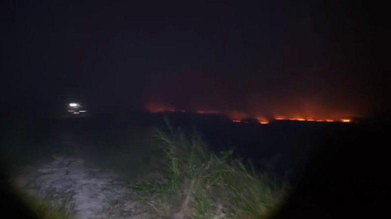 Karhutla Terjadi di Desa Pulau Mentaro Muaro Jambi, Petugas Masih Padamkan Api