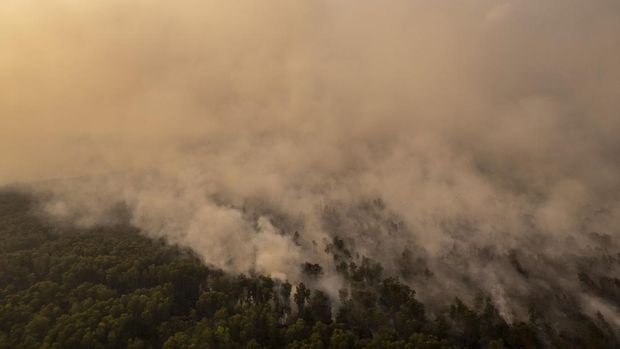Foto udara asap membubung ke langit saat terjadi kebakaran hutan dan lahan (karhutla) di Hutan Lindung Gambut (HLG) Londerang, Tanjung Jabung Timur, Jambi, Jumat (28/8/2026). Upaya pemadaman kebakaran yang terjadi sejak Kamis (27/8) dan telah menghanguskan sekitar sembilan hektare lahan itu terus dimaksimalkan oleh tim gabungan dari Manggala Agni Kemenhut, TNI, dan petugas perusahaan Hutan Tanaman Industri (HTI) sekitar HLG Londerang dengan penyekatan dan pemadaman darat. ANTARA FOTO/Wahdi Septiawan/wsj.