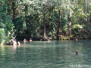 Unik! Sungai di Semarang Ini Air Hanya Mengalir Saat Kemarau