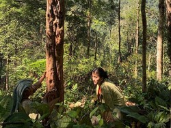 Kisah Perempuan Batak Topang Ekonomi Keluarga di Kampung Lewat Shopee