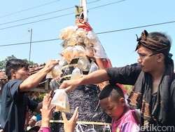 Berebut Gunungan Ikan di Merti Desa Ngrajek Magelang