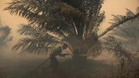 img-title