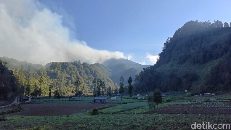 Semeru Ditutup Total gegara Karhutla, 1.235 Pendaki Gagal Mendaki
