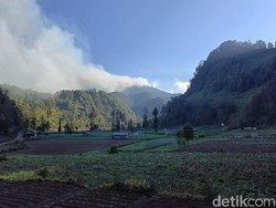 Semeru Ditutup Total gegara Karhutla, 1.235 Pendaki Gagal Mendaki