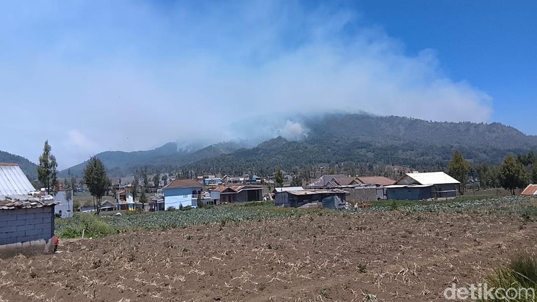 Sudah 170 Hektare Hutan TNBTS di Lumajang Terbakar, Api Belum Padam