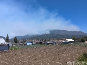 Sudah 170 Hektare Hutan TNBTS di Lumajang Terbakar, Api Belum Padam