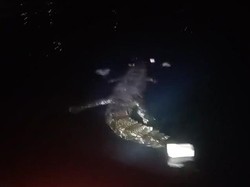 Pemuda Pasangkayu Tewas Diterkam Buaya Saat Menyelam Panah Ikan di Pantai
