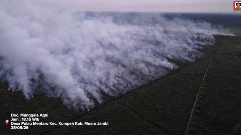 Tersangka Karhutla Jambi Bertambah Jadi 10 Orang, Modus Buka Lahan