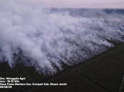 Tersangka Karhutla Jambi Bertambah Jadi 10 Orang, Modus Buka Lahan