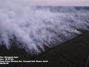 Tersangka Karhutla Jambi Bertambah Jadi 10 Orang, Modus Buka Lahan