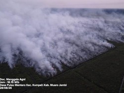 Tersangka Karhutla Jambi Bertambah Jadi 10 Orang, Modus Buka Lahan