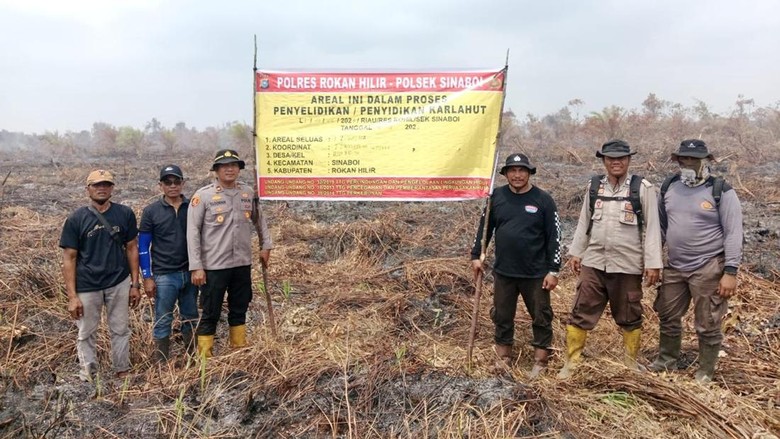 Puntung Rokok Picu Karhutla 30 Hektare, Pria di Rohil Jadi Tersangka