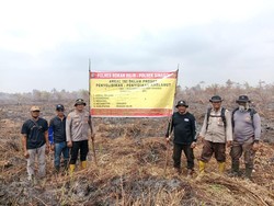 Puntung Rokok Picu Karhutla 30 Hektare, Pria di Rohil Jadi Tersangka