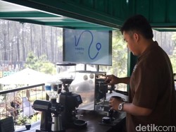 Sensasi Menyeruput Kopi di Tengah Sejuknya Hutan Pinus Bandung Utara