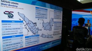 11 Ribu Hektare Terbakar, Pemerintah Tindak 19 Badan Usaha Terkait Karhutla