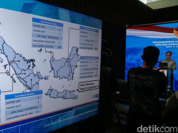 11 Ribu Hektare Terbakar, Pemerintah Tindak 19 Badan Usaha Terkait Karhutla