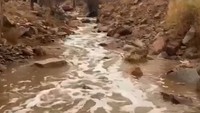 Hujan Deras 3 Hari Munculkan Aliran Sungai di Gurun Madinah, Tanda Kiamat?
