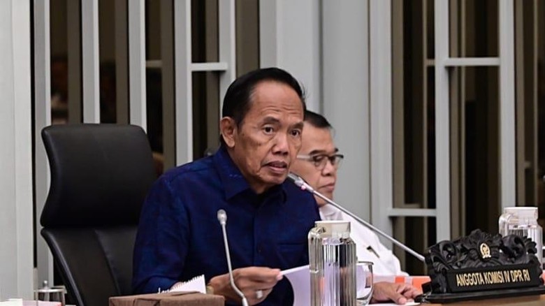 Anggota DPR soal Anggaran Daerah: Jangankan Urus Karhutla, Bayar PPPK Saja Sulit