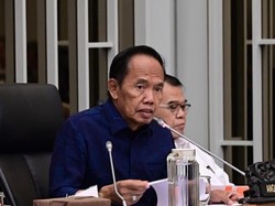 Anggota DPR soal Anggaran Daerah: Jangankan Urus Karhutla, Bayar PPPK Saja Sulit