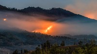 9 Taman Nasional Ditutup Sementara Imbas Karhutla!