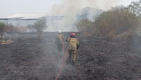 Duh! ODGJ Bakar Sampah Picu Kebakaran Lahan Dekat Rel KA di Ceper Klaten