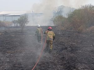 Duh! ODGJ Bakar Sampah Picu Kebakaran Lahan Dekat Rel KA di Ceper Klaten