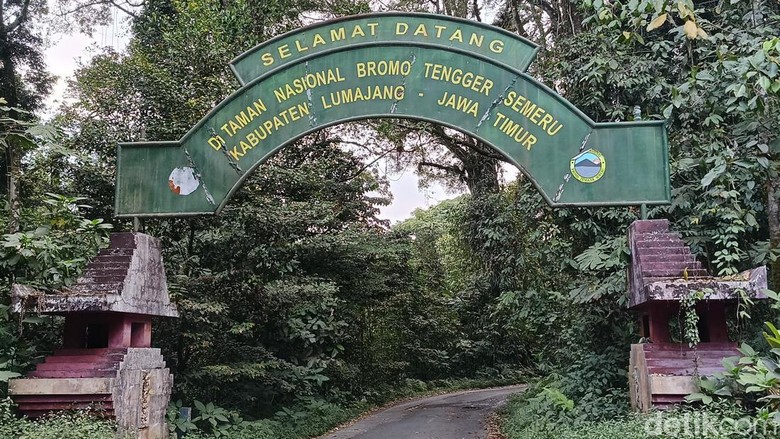 Api Belum Padam, Karhutla TNBTS Kini Capai 590 Hektare