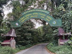 Api Belum Padam, Karhutla TNBTS Kini Capai 590 Hektare
