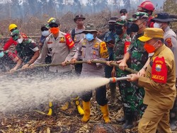 86 Hektare Lahan Gambut di Tanjabtim Terbakar, Kabut Asap Kian Memburuk