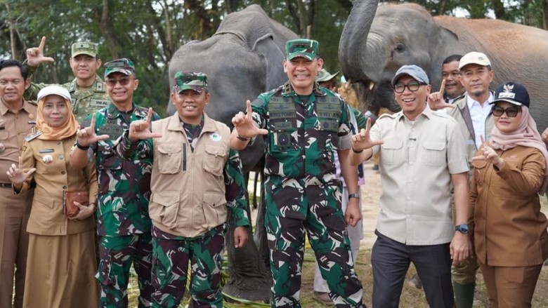 Gubernur-Pangdam Cek TN Way Kambas, Gajah Sumatra Aman dari Karhutla