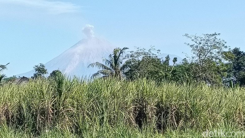 Gunung Semeru Erupsi di Tengah Karhutla, Lava Pijar Meluncur 1 Km